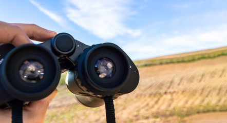 Observing nature and birds in the field using binoculars during a clear and sunny day. Big copy space. First person view, spying with binoculars.