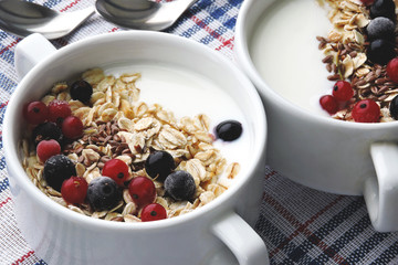Healthy breakfast or dessert with dairy yogurt, seeds and berries. Superfoods Food for healthy skin and wellness. The concept of breakfast for weight loss. Fermented dairy products.