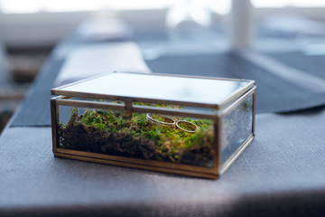 Two golden wedding rings in beautiful elegant glass box with greenery. Wedding accessories.