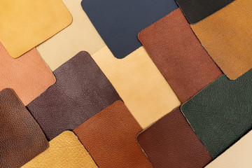 Texture from samples of genuine leather. Leather background. 