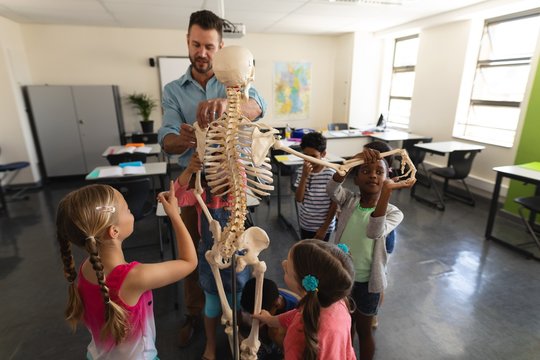 Male teacher explaining skeleton model in classroom