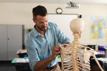 Male teacher fixing skeleton model in classroom