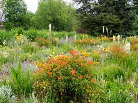 Staudengarten in Weihenstephan