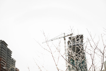 Tree in the snow and ice on the background of houses under construction