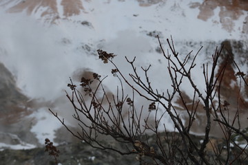 Jikokudani valley, snow, nature