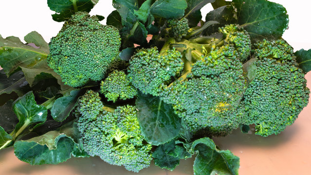 Fresh broccoli on dark wooden table background. Close up front view