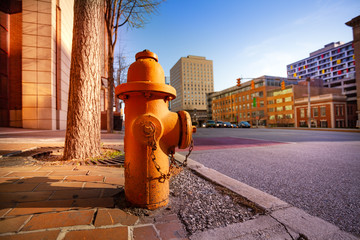 Fototapeta na wymiar Fire hydrant on sidewalk of Baltimore city, USA