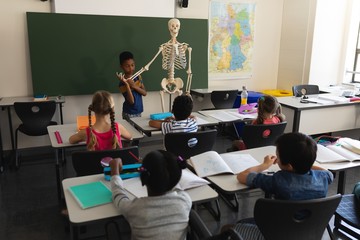 Rear view of schoolboy explaining human skeleton model in