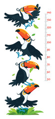 Meter wall or height chart with funny toucans