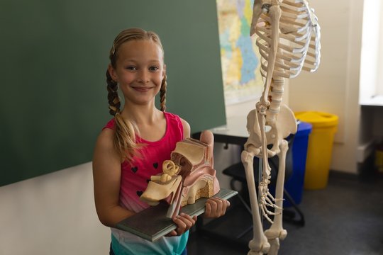 Smiling schoolgirl holding anatomical model and looking at - Powered by Adobe