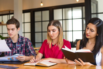 Portrait of three serious students studying in library. Young Caucasian man working with papers and two women reading textbook. Education concept