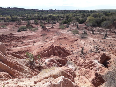 Desierto 