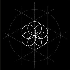 Flower of life with construction lines sacred geometry vector illustration on black background - 246447129