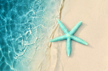 Fototapeta na wymiar Starfish on the sand beach and sea as background. Summer beach.