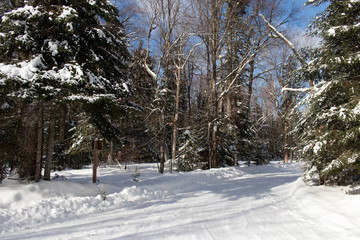 Ciel bleu sur la neige