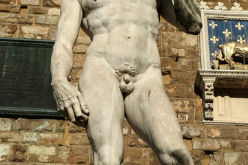A detail picture of the ancient statue´s penis (Michelangelo's David)