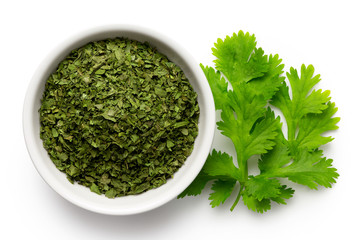 Dried chopped coriander leaves in white ceramic bowl next to fresh coriander leaves isolated on...