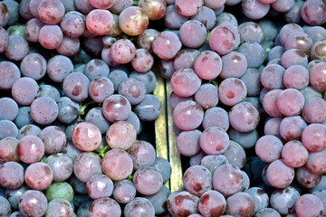 Boxes of table grapes on street market stall