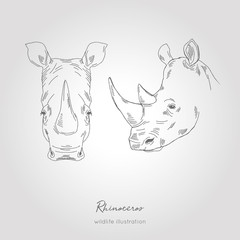 Realistic hand drawn vector sketch of rino heads front and profile view