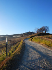 Path in the Langhe towards La Morra. Piedmont - Italy