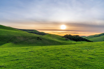 Sunset in the Rolling Hills of Grass 