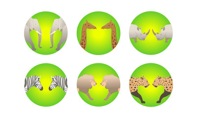 African animals cartoon vector set. elephant, rhino, giraffe, cheetah, zebra, lion, face to face. safari isolated illustration - Images vectorielles 