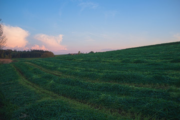 Abendstimmung im Voralpenland mit gemähter Wiese im Vordergrund und softem Abendrot im Hintergrund