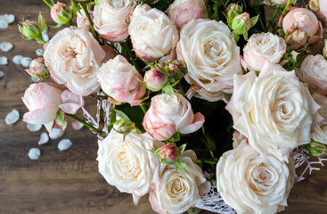 Pink roses on a light fluffy background