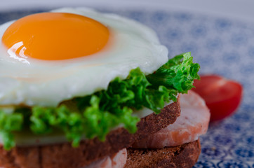 Sandwich with egg, ham, cheese, toast and salad leaves lies on a plate with tomato and dill