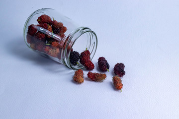 Mulberry fruit mulberry many both purple red orange in jar glass and mulberry outside jar all laid are on a white background.