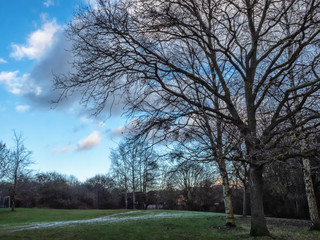 Fototapeta premium OLYMPUS DIGITAL CAMERA