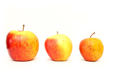 A picture of three ordinary apples, without modifications..as you know from the shop. The picture shows the maturing of the apples. One is fresh, one is older and one is dry. 