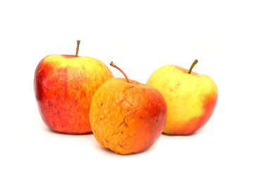 A picture of three ordinary apples, without modifications..as you know from the shop. The picture shows the maturing of the apples. One is fresh, one is older and one is dry. 