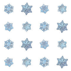 Blue snowflakes isolated on white background. Macro photo of real snow crystals: elegant star plates with relief surface, short arms, fine hexagonal symmetry, ornate shapes and complex inner details.