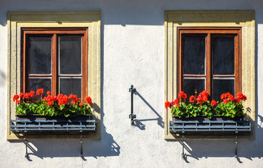 Two windows with flower pots. Pots of red petunias. Floral design of windows