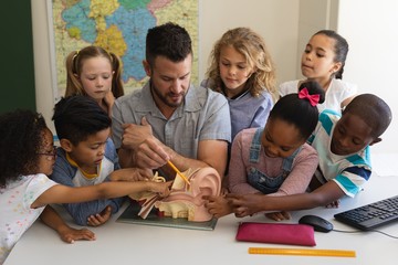 Front view of male teacher explaining anatomy using anatomical