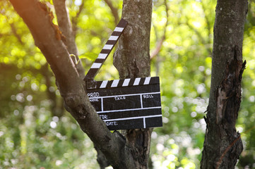 Black clapperboard hanging on the tree in park . Directing and filming of  some amateur cinema movie.