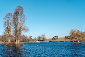 Frosty Walk at Petworth Park