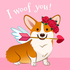 Valentine's day corgi dog card. Cute Cupid Welsh corgi puppy in love, with wings, red rose wreath on head, holding pink heart arrow in mouth, with text 