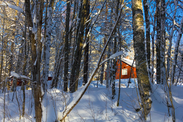 A walk through a little Swedish village on a sunny winterday