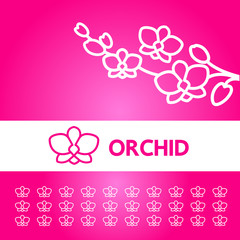Premium grand Orchid design concept vector.   © Creative_Bringer