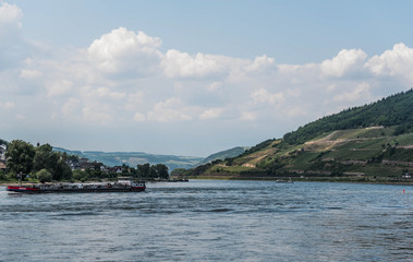 Deutschland Rheintal Burg Rheinstein und Umgebung