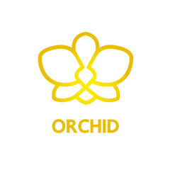 Premium grand Orchid design concept vector.   © Creative_Bringer