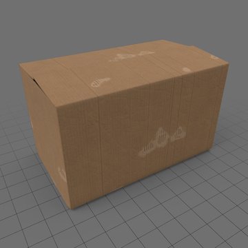 Damaged cardboard box