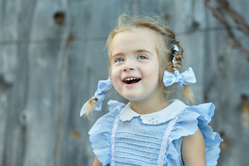 Portrait of cute little funny girl in a blue dress  in the village yard. Happy childhood. Village stories