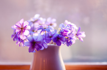 Beautiful bouquet of flowers. Fresh spring flowers. Bouquet of delicate spring flowers.