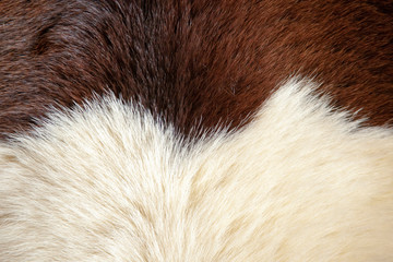 fox fur