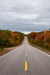 Obraz premium Scenic road during a cloudy day in the fall season. Taken in Nova Scotia, Canada.