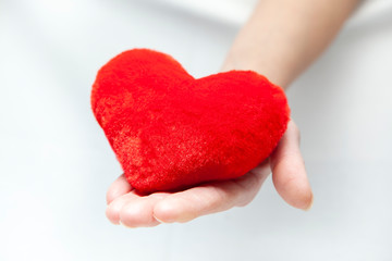 Obraz premium Female hands giving red heart