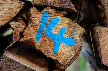 Logs of wood, number fourteen